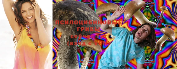 спиды Шали
